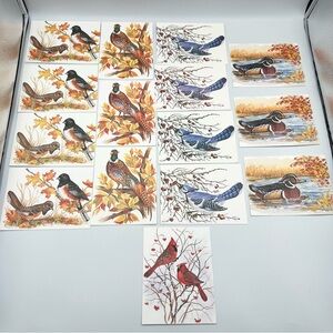 Vintage John Cornacchio Lot of 15 Blank Note Cards Birds Wildlife Nature Art
